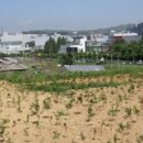 화성개발(주) - 675 | 화성개발(주)