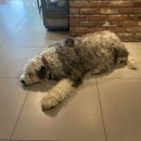 평천로74번길 이미지