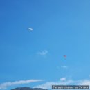 단양맛고을 | 2025/08 단양여행 - 단양맛고을식당