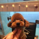 온블리살롱 이미지