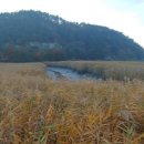 동산축사 이미지