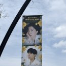 [공연] 김성규 뷰민라 페스티벌 Beautiful Mint Life 2025 후기 | 88잔디마당