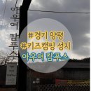 해솔학교책놀이(B) | 양평 아우어 캄푸스 후기 - 명당, B사이트 리뉴얼, 시설 총정리