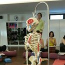 한서약품 이미지