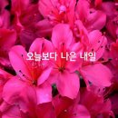 오늘보다 나은 내일