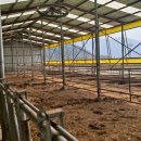 성우축사 이미지