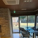 강아지 테마파크 이미지