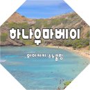 하이(HI)치과기공소 | 하나우마베이 물때 보고가세요 사이트 있음 공홈예약해서 다녀온 후기 및 꿀팁들