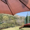 파플레이골프클럽 이미지