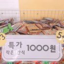 문산동물병원 네이버블로그