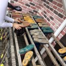 태안 머드캠프 펜션 이미지