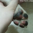 아일오브걸 이미지