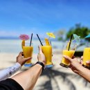 (주)모두여행사 | 세부 여행 코스 세부 고래상어 투어 여행사 추천