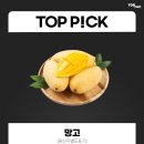 탑마트 티스토리