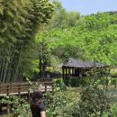 죽녹원 | [내돈내산/담양] 힐링 여행지 담양ㅣ죽녹원 후문 산책 강추! 죽녹원 방문 솔직후기