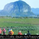 차차농장 이미지