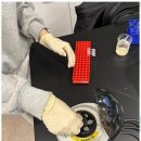 실험과학학원 | 송파과학학원 실험으로 가득한 아비투스 겨울 과학 특강 후기