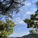 녹두마을 이미지