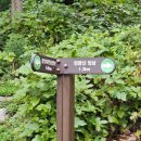 [용인/모현읍]나들이, 캠핑, 숙박은 &#39;용인자연휴양림&#39;(산책후기)