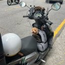 구운리 | 또와또캠핑장 계곡 개별화장실 강원도화천 애견동반 오토캠핑장