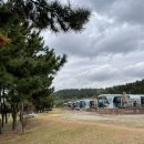 해남세무서 공중화장실 | 애견동반 가능한 전남 해남 오시아노 캠핑장 그리고 프리미엄 카라반 (무료자전거대여가능한곳)