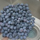 스테이모일 | 공주 독채 숙소, 스테이지트 후기: 캠핑 감성 힐링여행