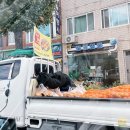 동해호프통닭 이미지