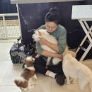 야옹아 멍멍해봐 이천점 이미지