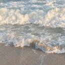 내정로174번길 | 지루성두피관리 잘하는 곳 수내두피 탈모&amp;두피밥 분당점