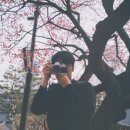 EXAUTO | 봉은사 홍매화 출사(Kodak Ultramax400)