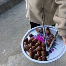 홀리데이캠프캠핑장