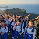 다수초등학교 | 봄 단체여행·수학여행·워크샵 기획 완벽 가이드, 지금 당장 준비해야 하는 이유와 체크리스트 총정리