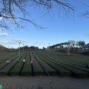 영빈농장 이미지