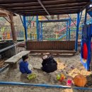 하나로농장 | 🍊제주 최남단체험감귤농장 다녀온 후기 | 제주 아이랑 가볼 만한 곳