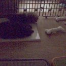 예쁜이PC 이미지