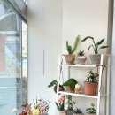 꽃이 좋아 | 부산 전지역 꽃배달 되는 감각적인 연산동꽃집 윤꽃 개업축하 화병꽃이 주문후기