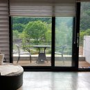 평창베니스 이미지