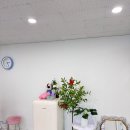 오늘더예쁘다 | 전주 눈썹 컨설팅 / 전주 오늘도 예쁘다 눈썹 컨설팅 후기