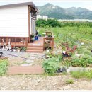 상왕농장 이미지