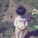 태균농장 이미지