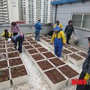 옥수동 주민센터 이미지