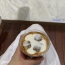 카멜커피판교현대 이미지