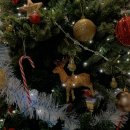 교대사랑이치과의원 이미지