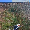 군산대표생선구이집 이미지