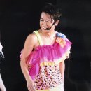 다몰이