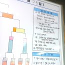 돛대당구클럽 이미지