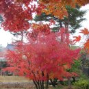 보훈행정사 채희웅 사무소 이미지