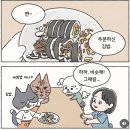 최고김밥 이미지