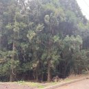 회수동-1 이미지