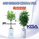 온헬스케어주식회사 | [제이피아이헬스케어 KGA 주식회사] 상장 임원 승진 대표이사 취임 축하화분